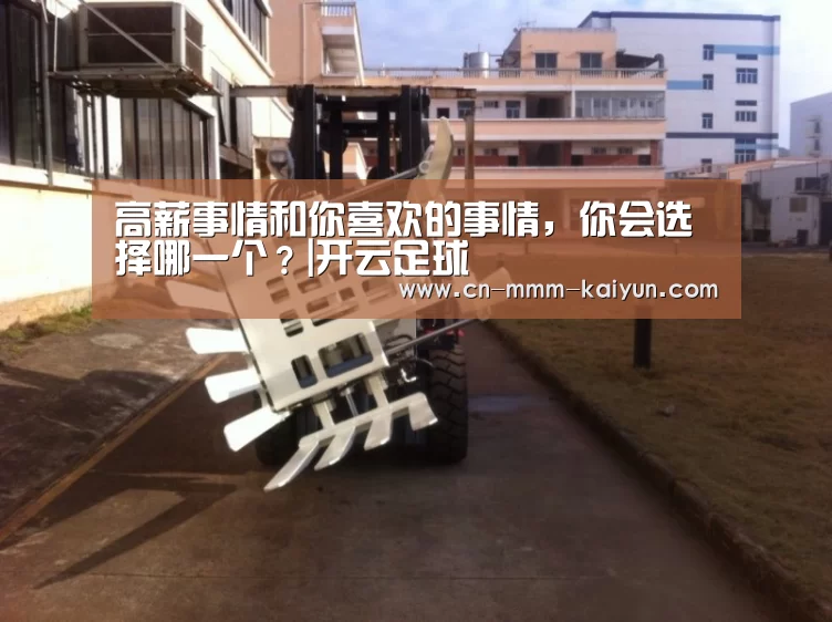 高薪事情和你喜欢的事情,你会选择哪一个?|开云足球(图1) 开云电竞
